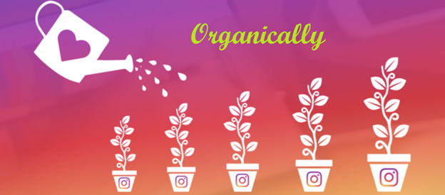 instagram grow